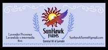 Sun Hawk Lavender